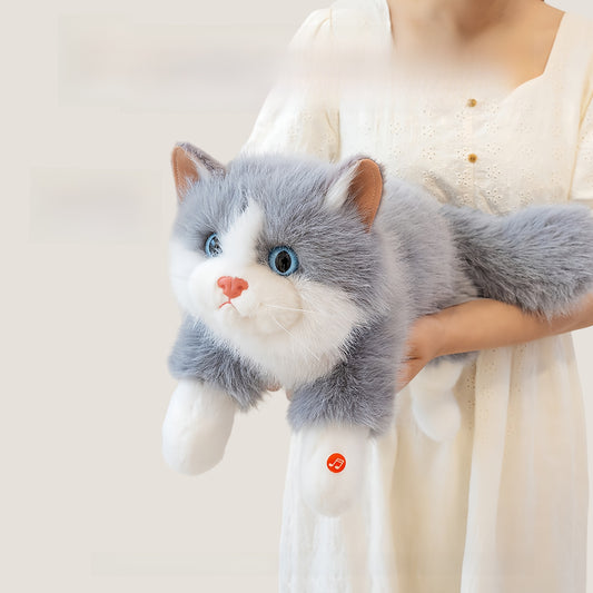 Plush Toy Cat