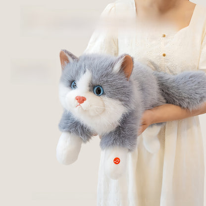 Plush Toy Cat