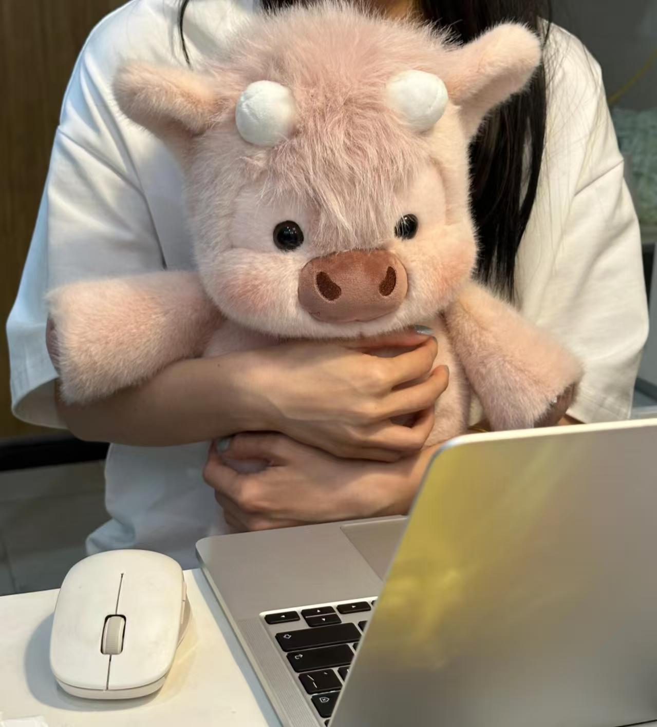 Plush Toy Pig