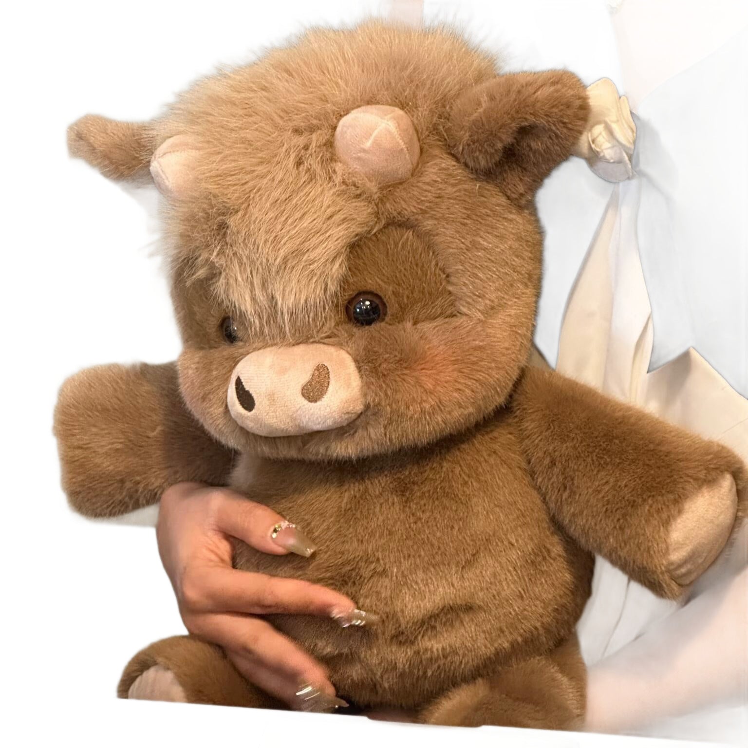 Plush Toy Pig