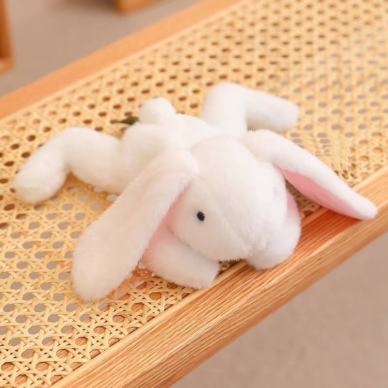 Pocket Plush Toy Panda Plush Doll Cute Plush Doll Doll Gift Children's Pacifying Doll