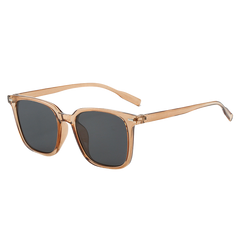 Transparent Gray Frame