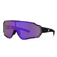 Black Frame Gray Lens