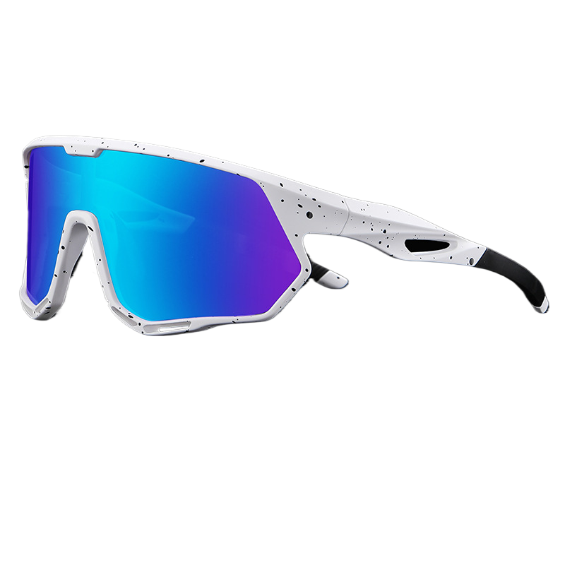 Polarized Sunglasses