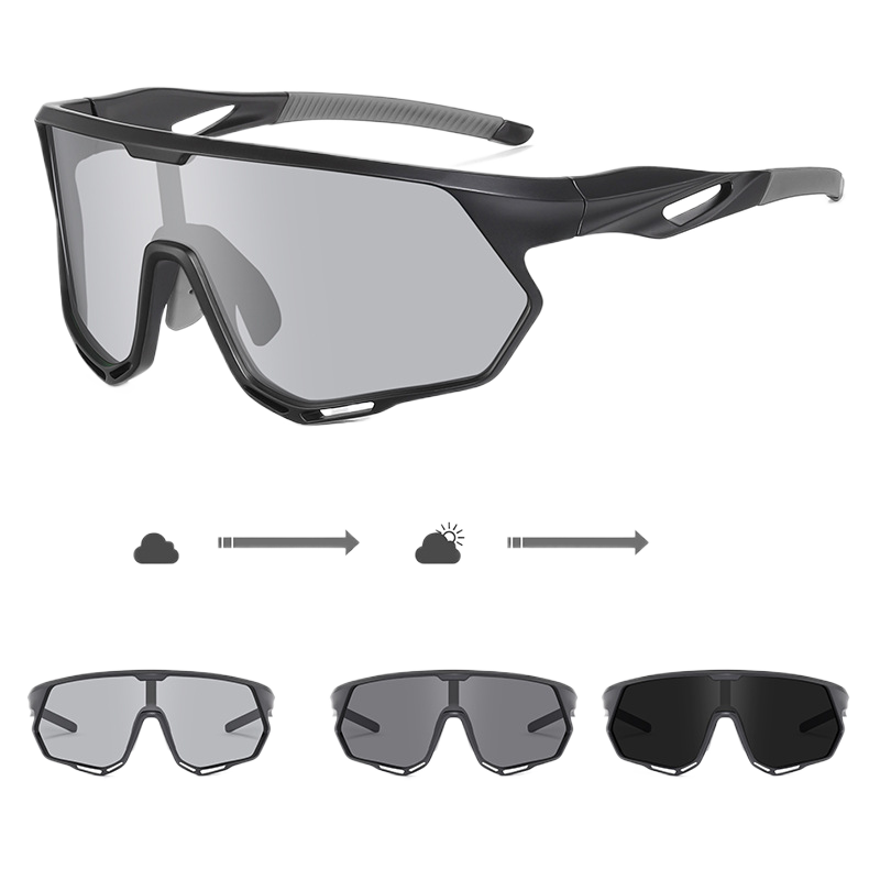 Polarized Sunglasses