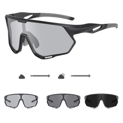 Polarized Sunglasses