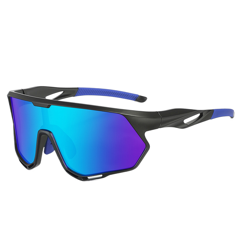 Polarized Sunglasses
