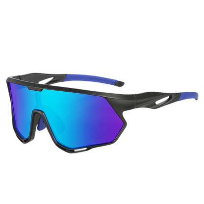 Polarized Sunglasses
