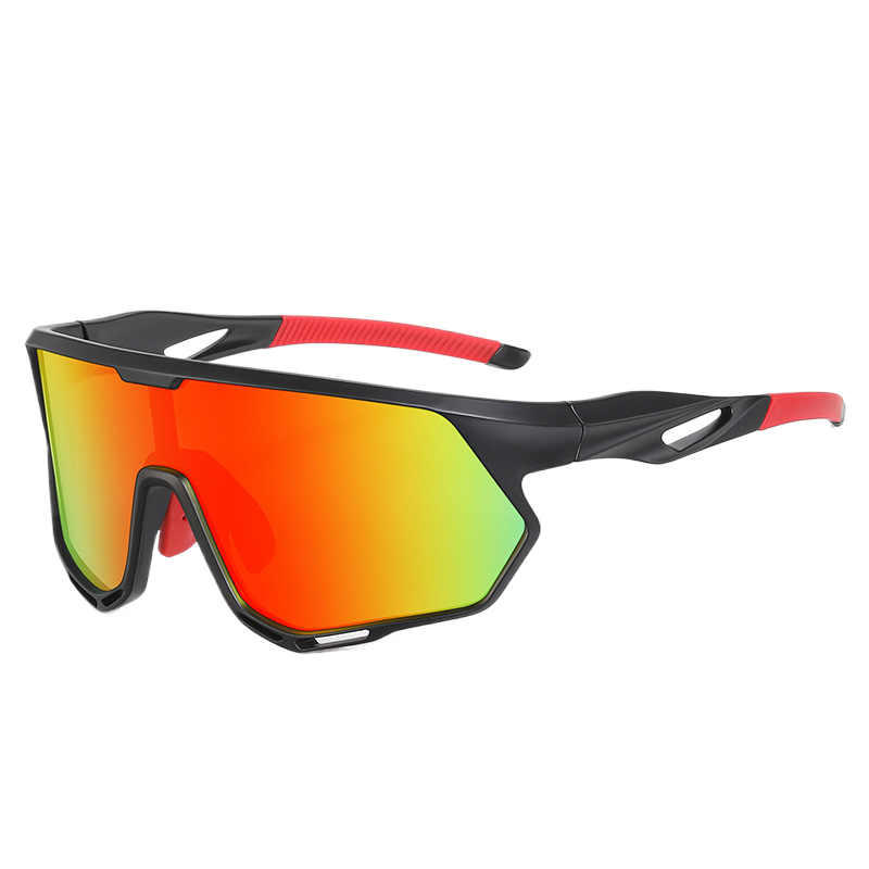 Polarized Sunglasses