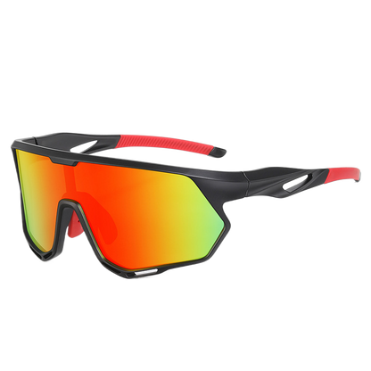 Polarized Sunglasses