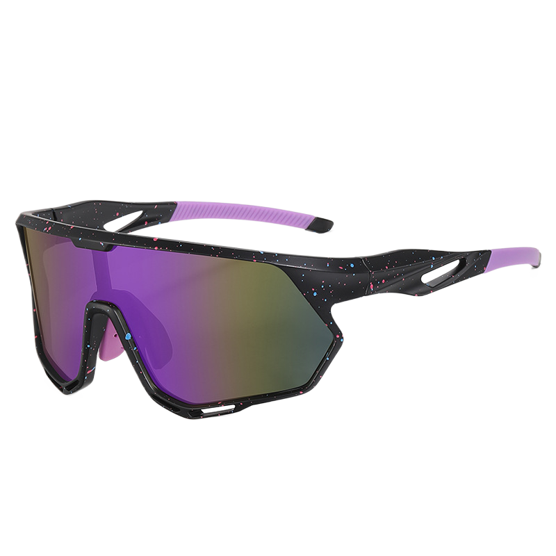 Polarized Sunglasses