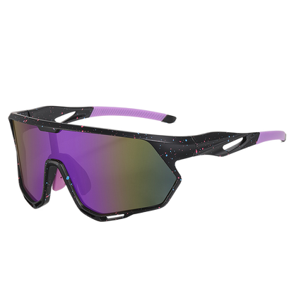 Polarized Sunglasses