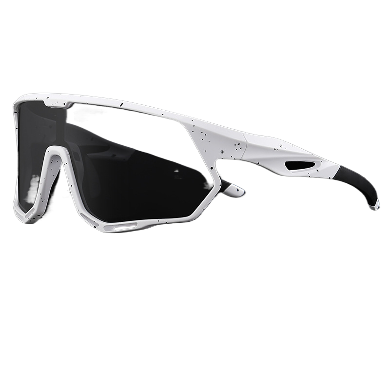 Polarized Sunglasses