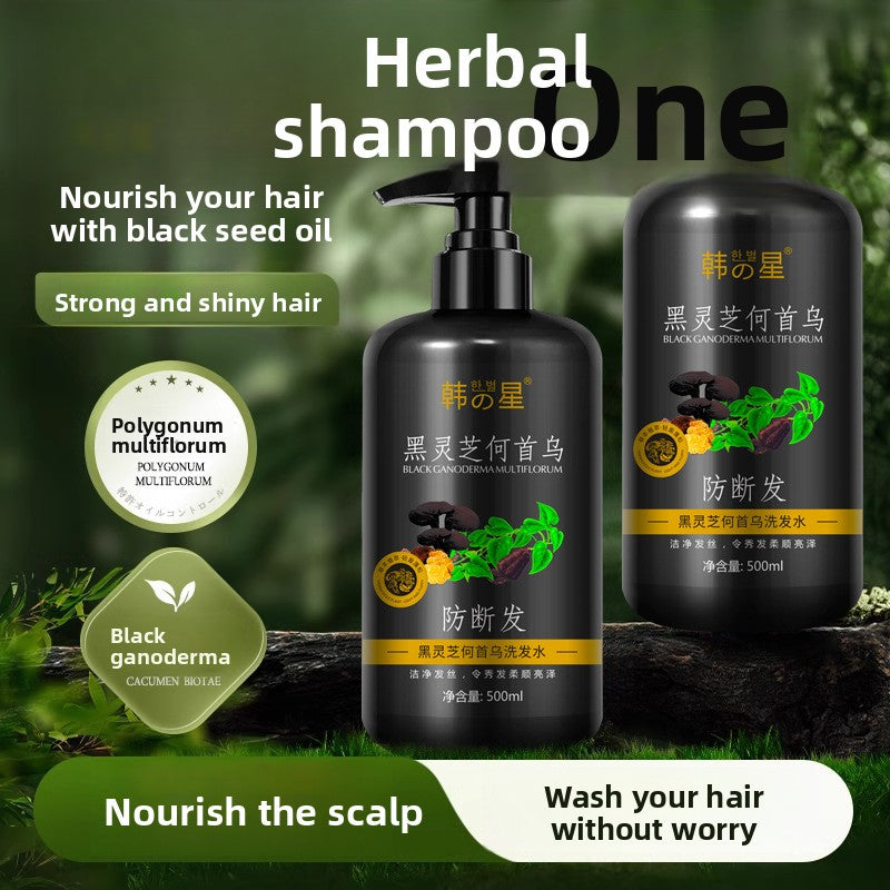 Polygonum Multiflorum Shampoo