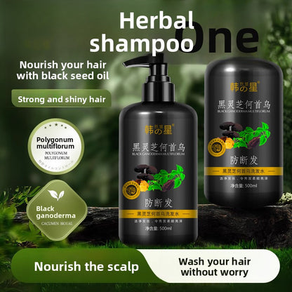 Polygonum Multiflorum Shampoo