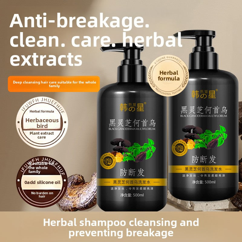 Polygonum Multiflorum Shampoo