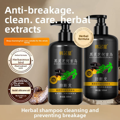 Polygonum Multiflorum Shampoo