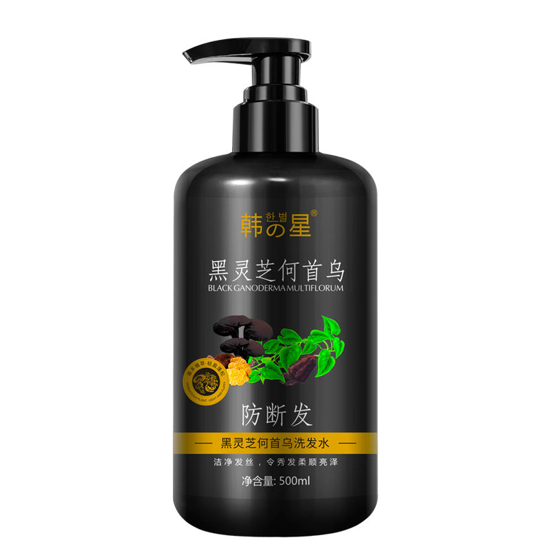 Polygonum Multiflorum Shampoo