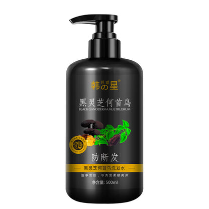 Polygonum Multiflorum Shampoo