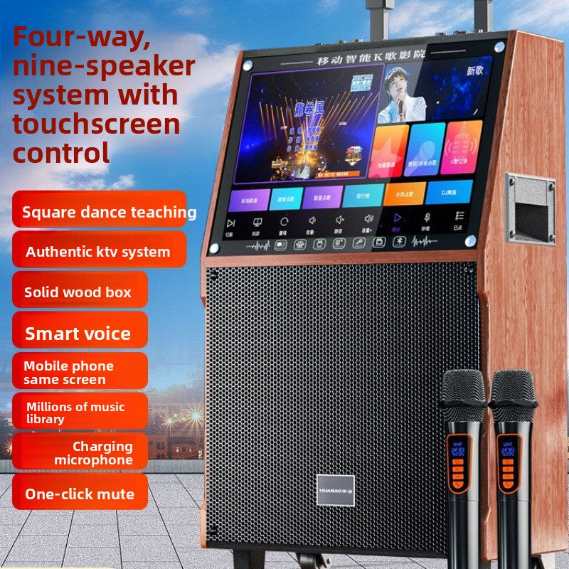 Portable Bluetooth Speaker with Microphone and Display