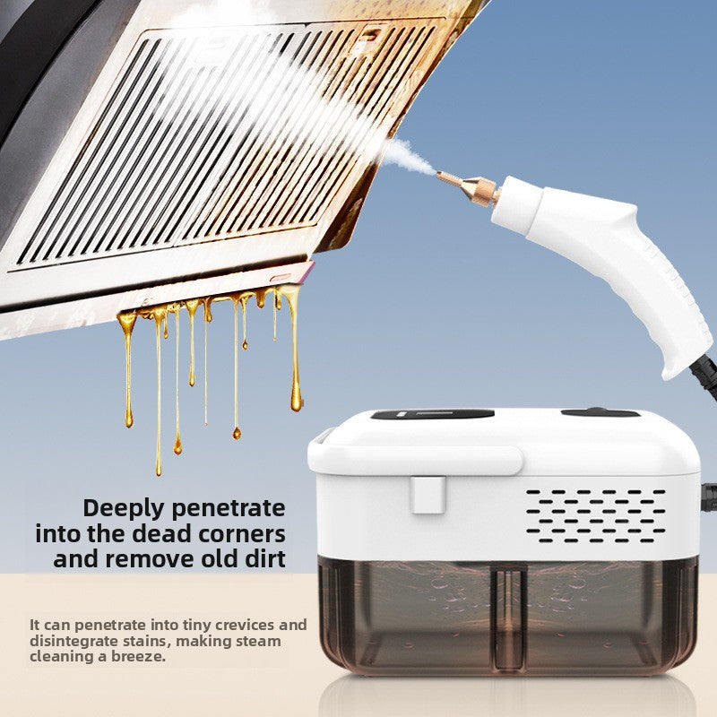 Portable Digital Steam Cleaner