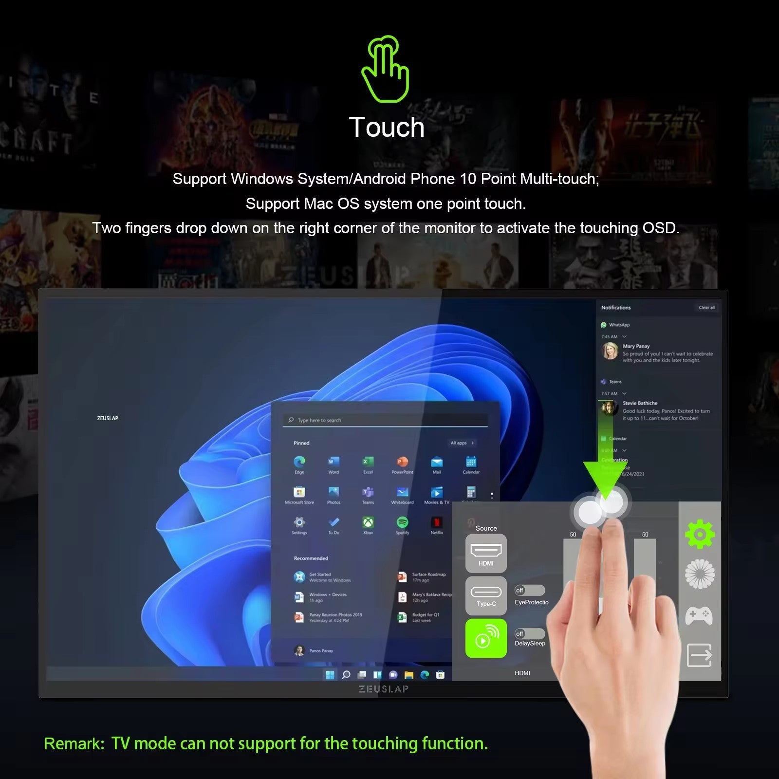 Portable Display