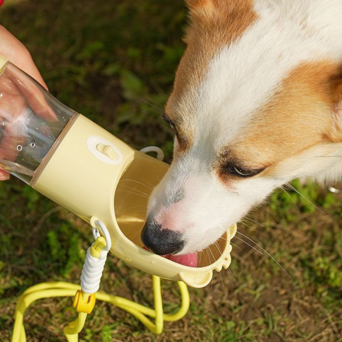 Portable Dog Water Cup for Outdoor Use