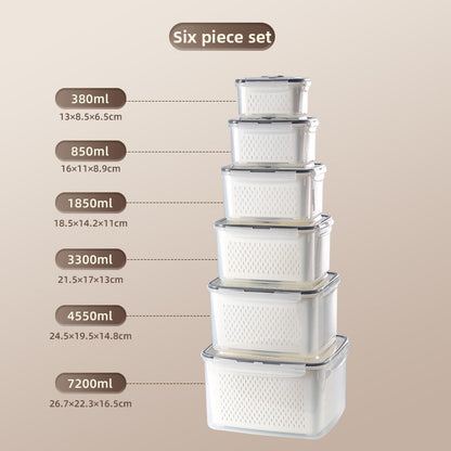 Portable Double Layer Picnic Food Storage Container