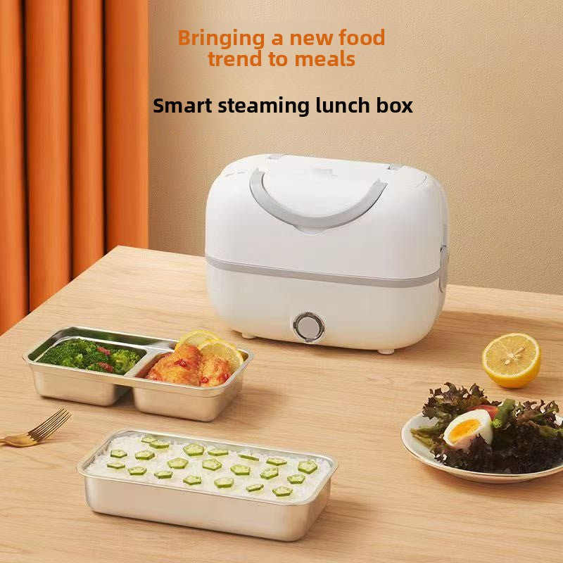 Portable electric lunch box
