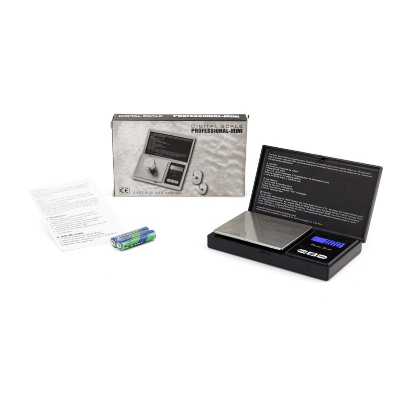 Portable electronic scale