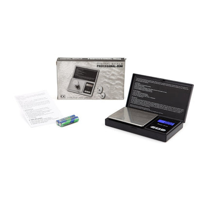 Portable electronic scale