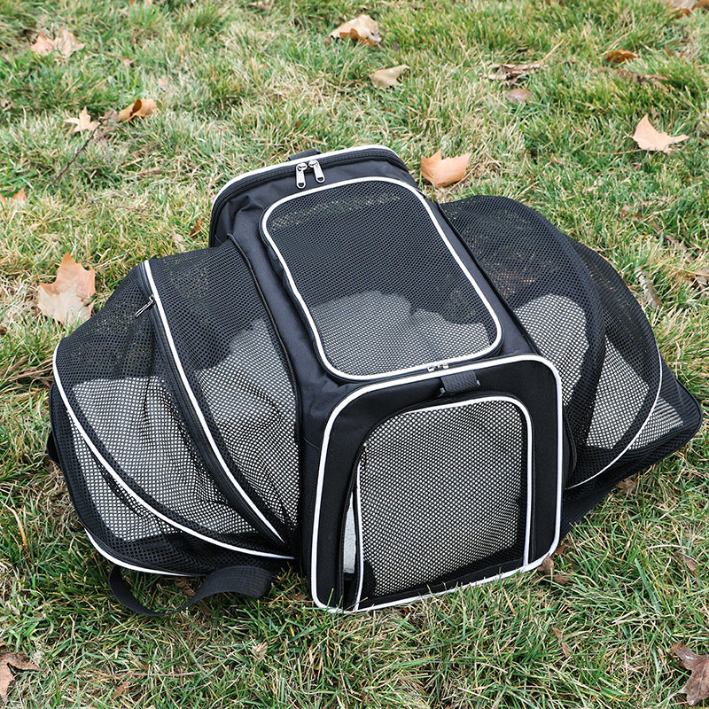 Portable Expandable Pet Carrier Tote for Small Dogs and Cats