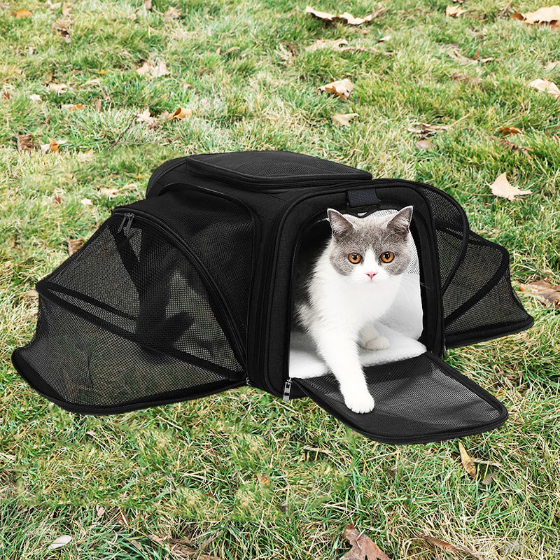 Portable Expandable Pet Carrier Tote for Small Dogs and Cats
