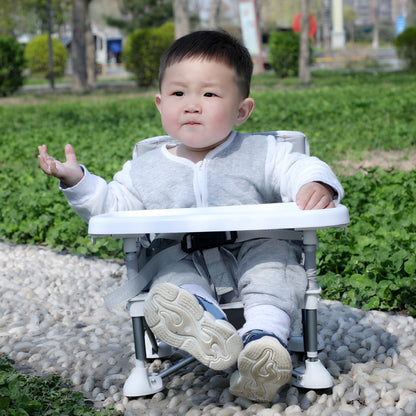 Portable Foldable Baby Dining Chair with Canopy Option