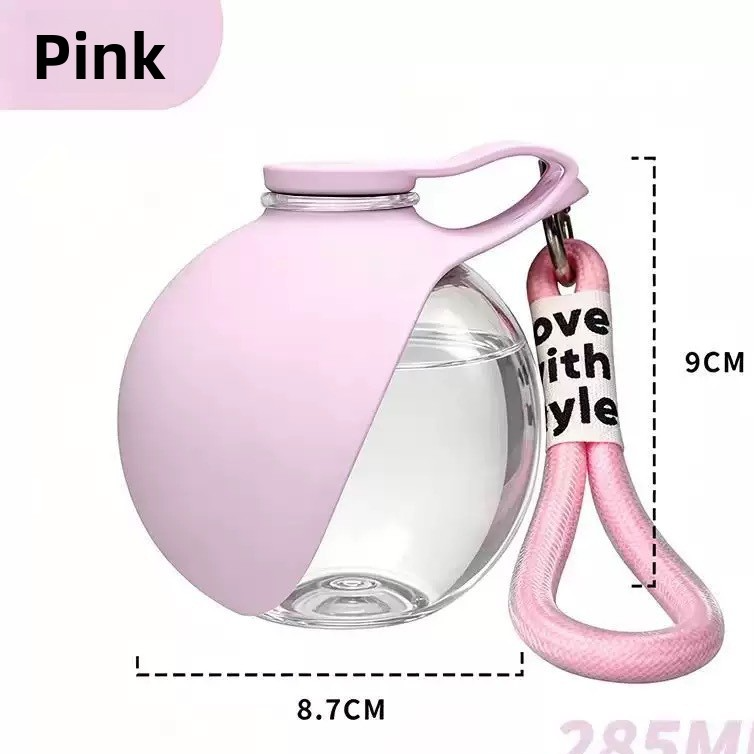 Portable Foldable Pet Water Bottle