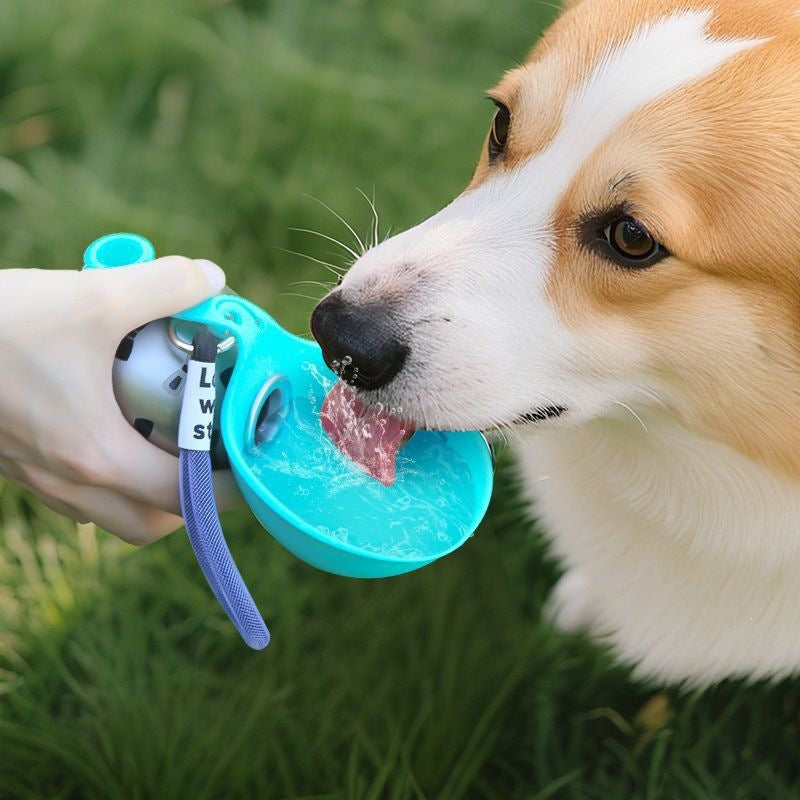 Portable Foldable Pet Water Bottle