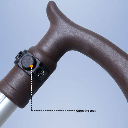 Portable Folding Cane Stool