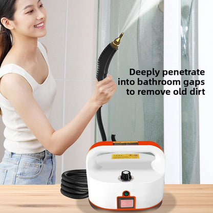 Portable High-Pressure Steam Cleaning Machine
