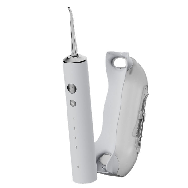 Portable household oral cleaning device