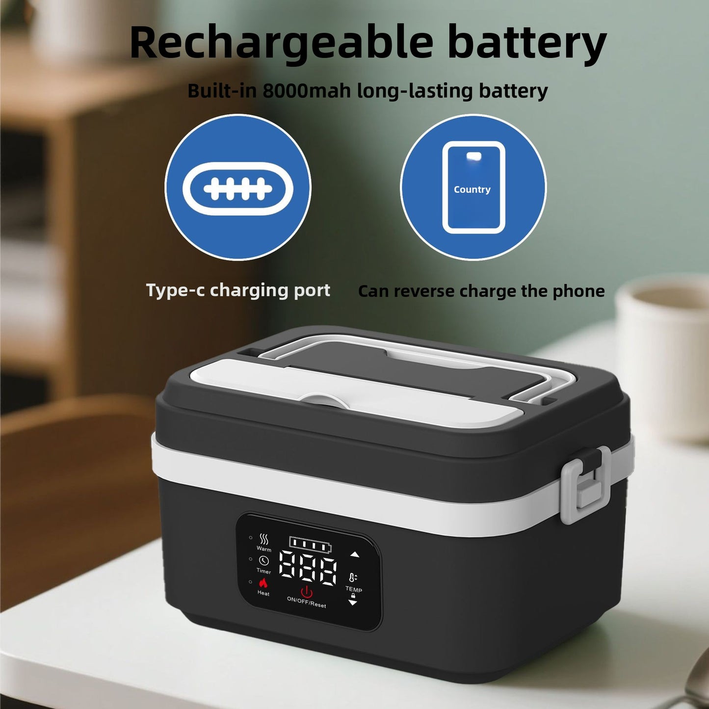 Portable Insulated Lunch Box