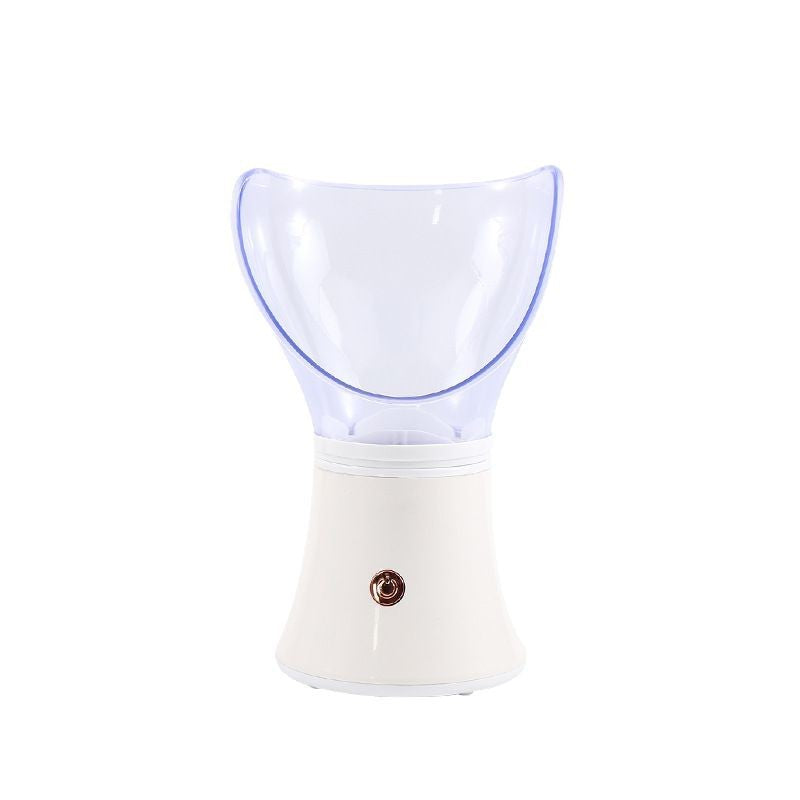 Portable Ion Steam Face Steamer