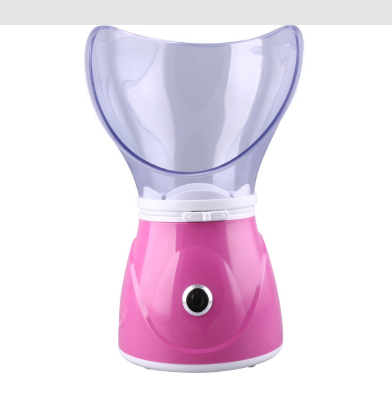 Portable Ion Steam Face Steamer