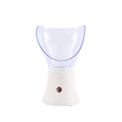 Portable Ion Steam Face Steamer
