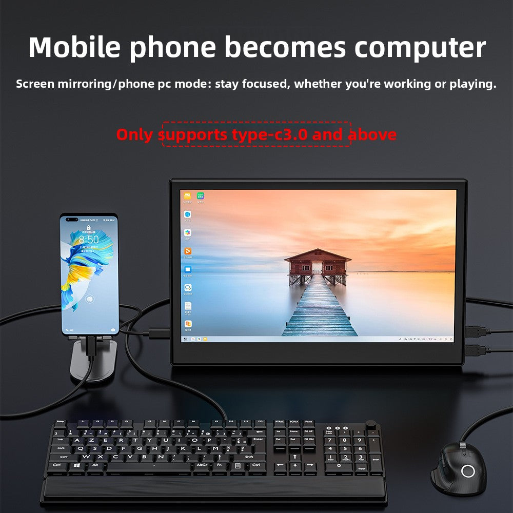 portable monitor