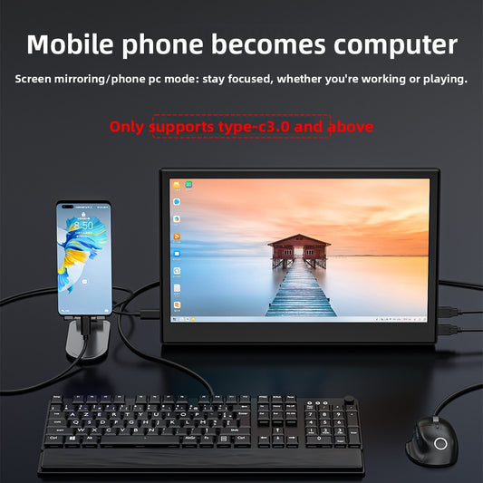 portable monitor