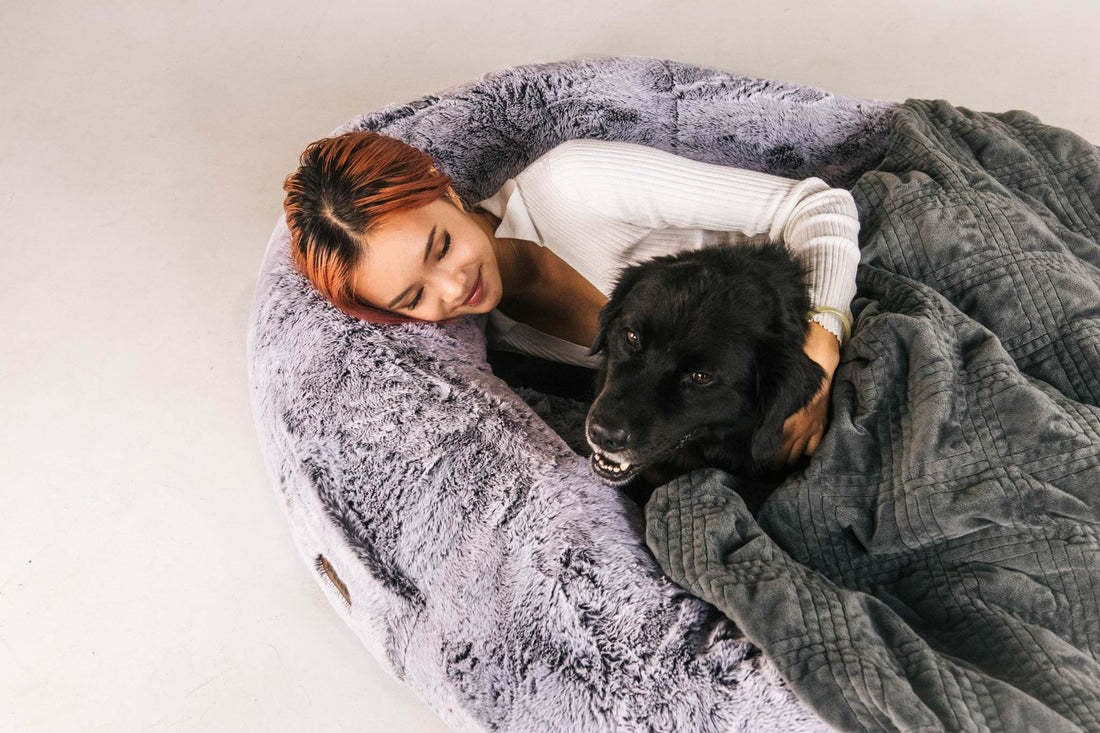 Portable pet bed and human bed