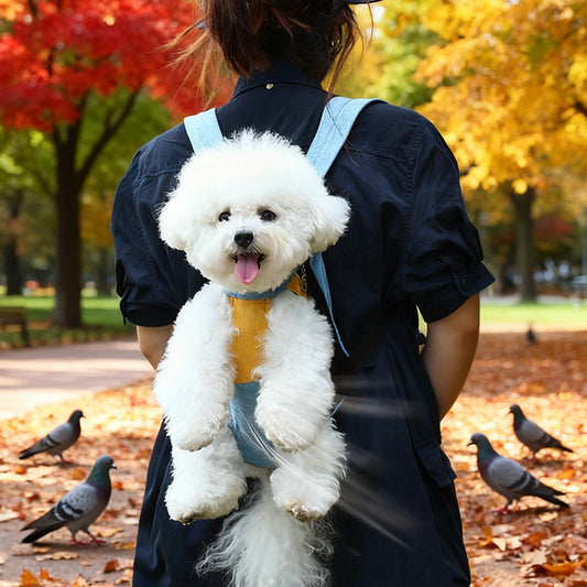 Portable Pet Carrier Backpack