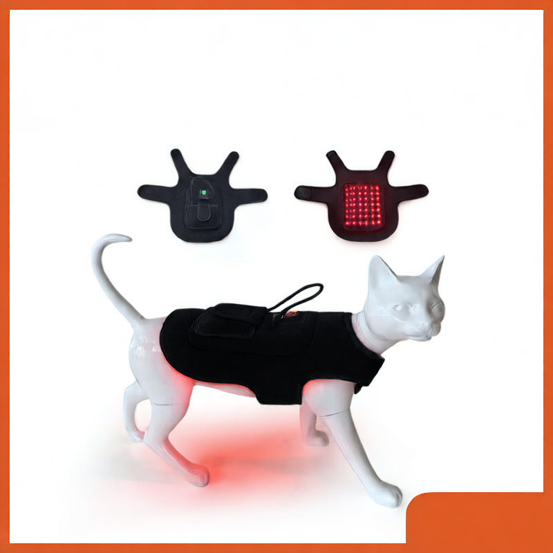 Portable Pet Red Light Therapy Belt for Injury Relief