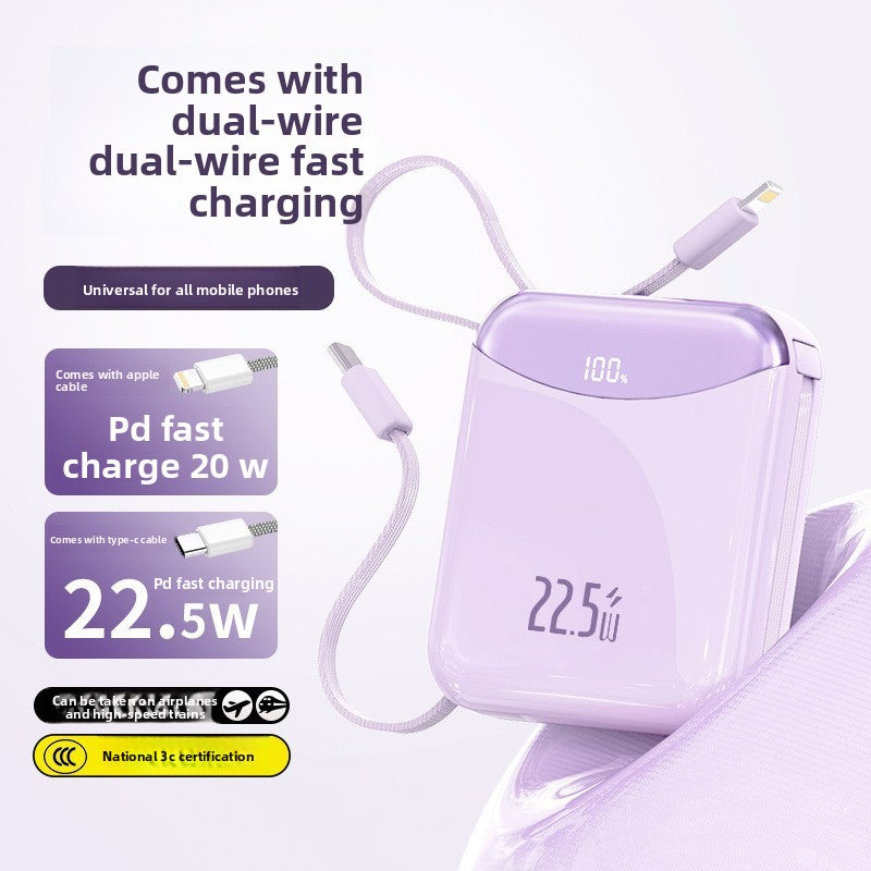 Portable power bank