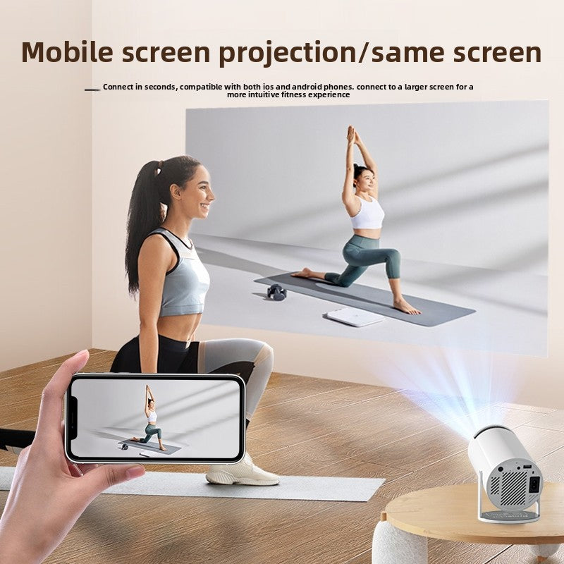 Portable projector